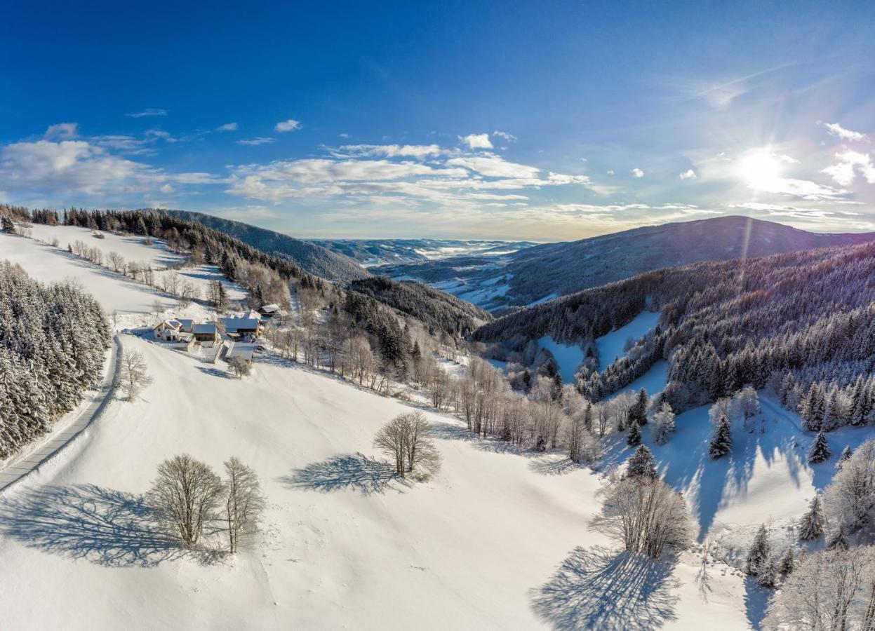 Almbauer Morgenbesser Trattenbach  Eksteriør bilde